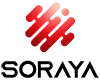 SORAYA Technologies Limited